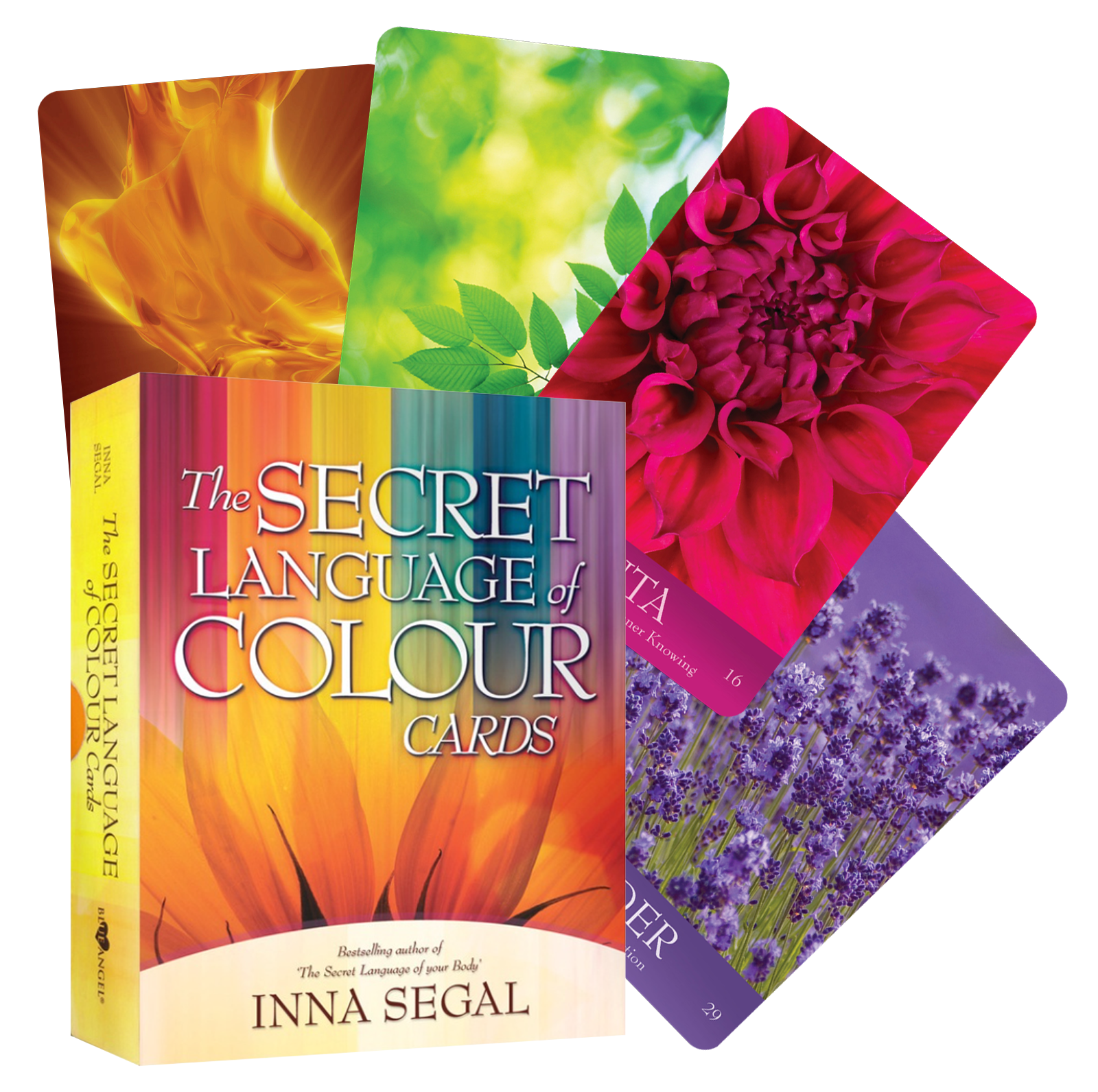 Secret Language of Colour oracle kortos Blue Angel – OBUOLYS