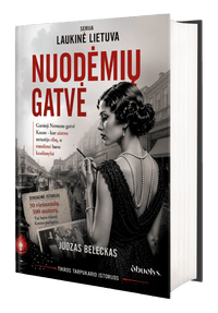 Nuodėmių gatvė: slaptoji laikinosios sostinės pusė
