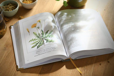 DIDŽIOJI VAISTINIŲ AUGALŲ KNYGA: gydomieji augalai ir šimtai receptų kaip sustiprinti sveikatą