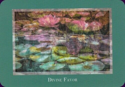 Gaia’s Vision Oracle kortos Schiffer Publishing