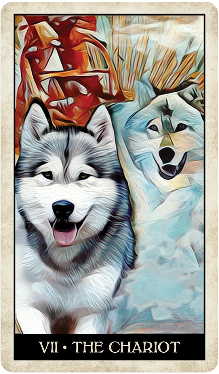 Wise Dog Taro kortos US Games Systems