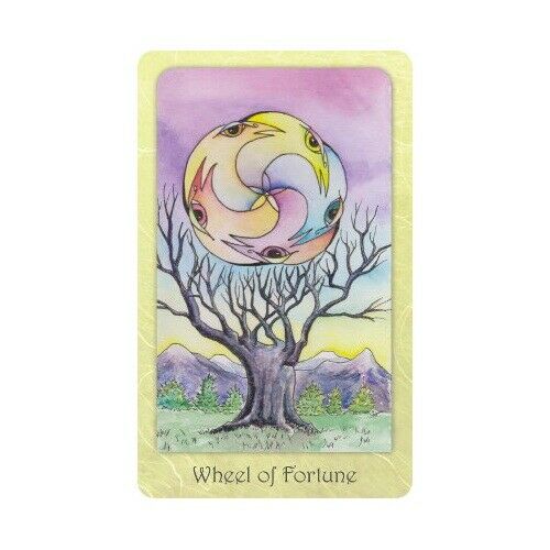 Dream Raven Tarot kortos Schiffer Publishing