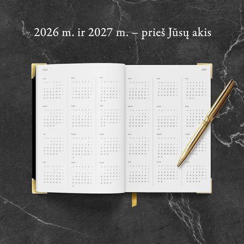 PREMIUM KLASĖS VERSLO STRATEGO DARBO KNYGA 2026 m.