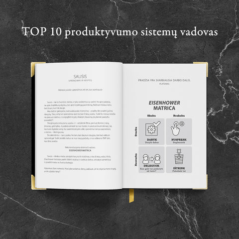 PREMIUM KLASĖS VERSLO STRATEGO DARBO KNYGA 2026 m.
