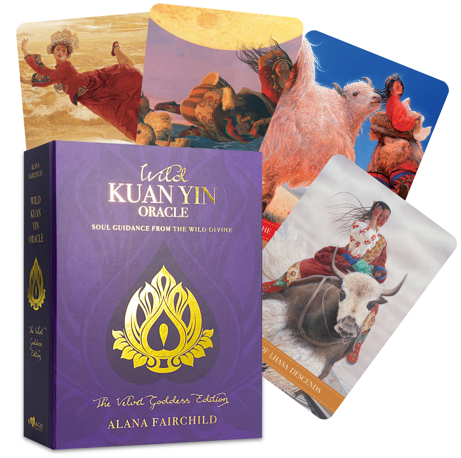 Wild Kuan Yin Oracle Kortos Blue Angel