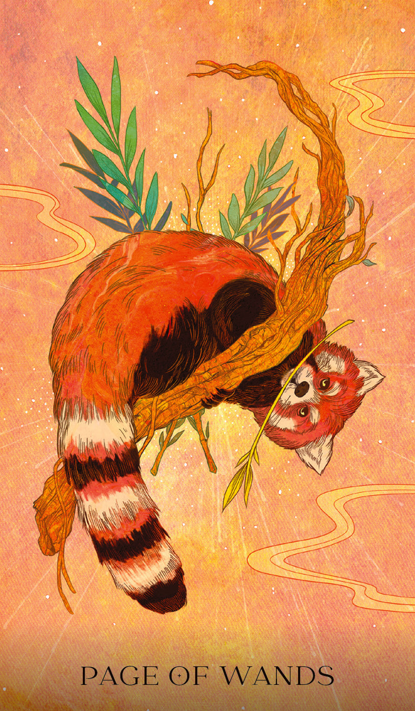 Oriens Animal tarot Taro kortos Rockpool