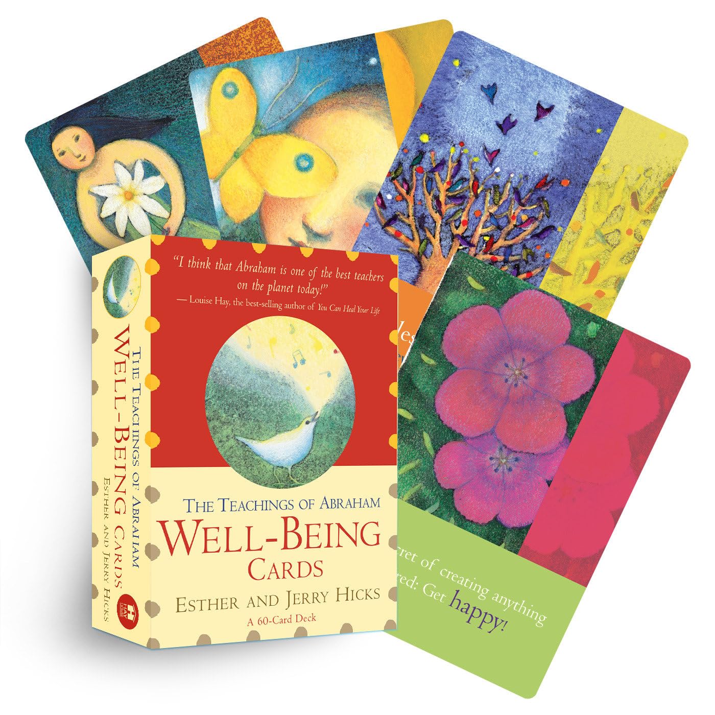 Teachings of Abraham Well-Being kortos Hay House