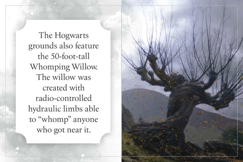 Harry Potter: Hogwarts (maža knygelė) Insight Editions