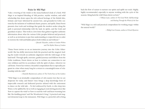 Wild Magic knyga Llewellyn