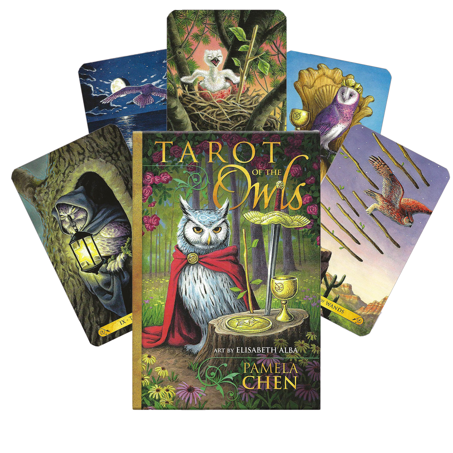 TAROT OF THE OWLS: išminties ir intuicijos kupinos pelėdų taro kortos