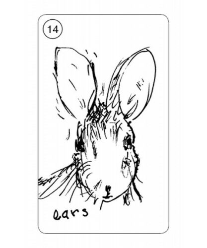 Carrot Cards Taro Kortos Schiffer Publishing