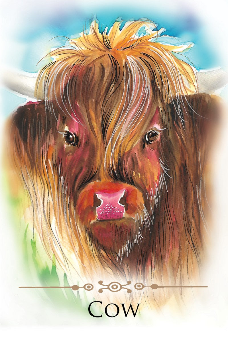 Spirit Animals Message kortos Animal Dreaming