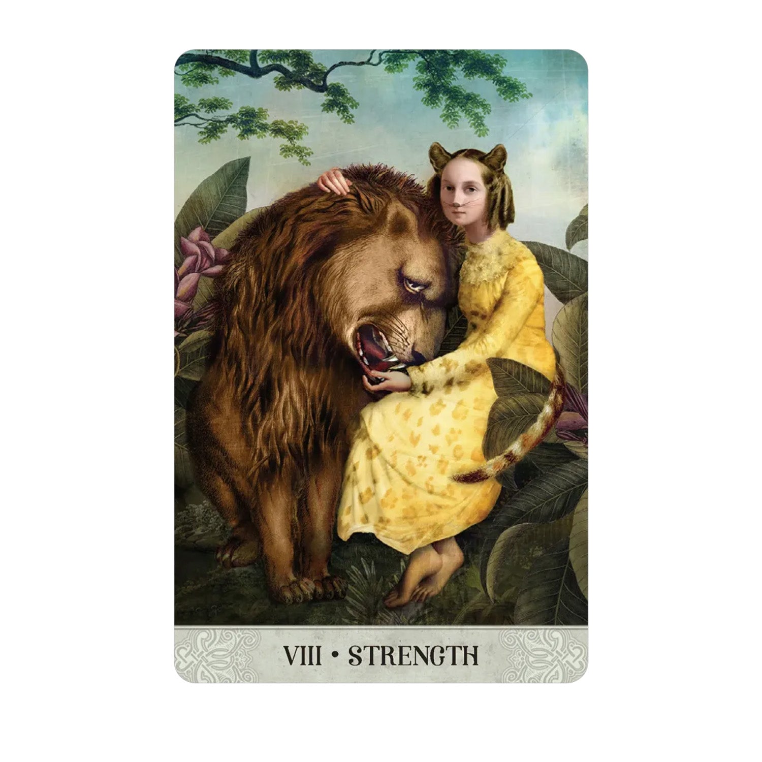 Tarot of Mystical Moments Borderless Mini leidimas US Games Systems