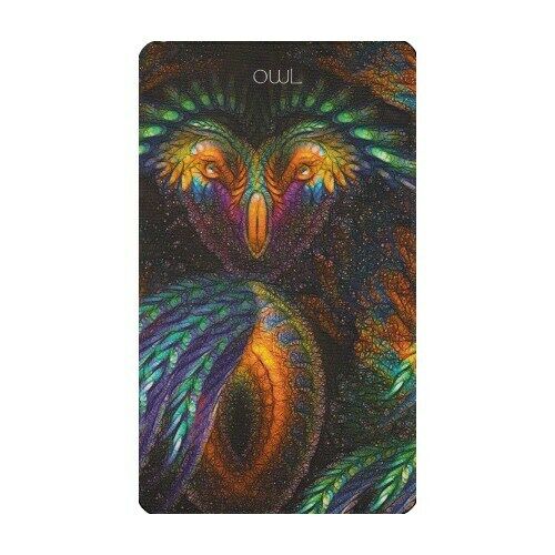Healing Light and Angel Cards Taro Kortos Schiffer Publishing