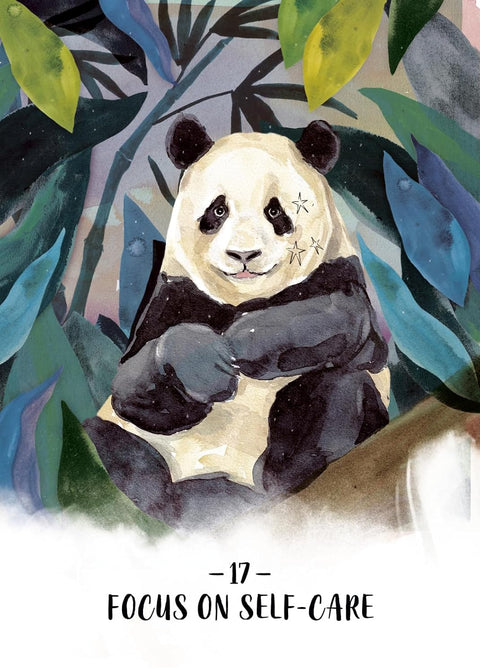 Sisterhood of the Seers Oracle kortos Hay House