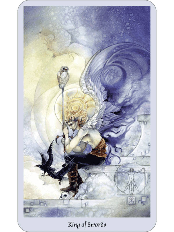 Shadowscapes Taro kortos ir knyga (rinkinys) Llewellyn