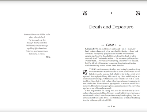 Journey of Souls knyga Llewellyn