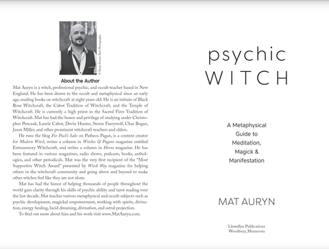 Psychic Witch knyga Llewellyn