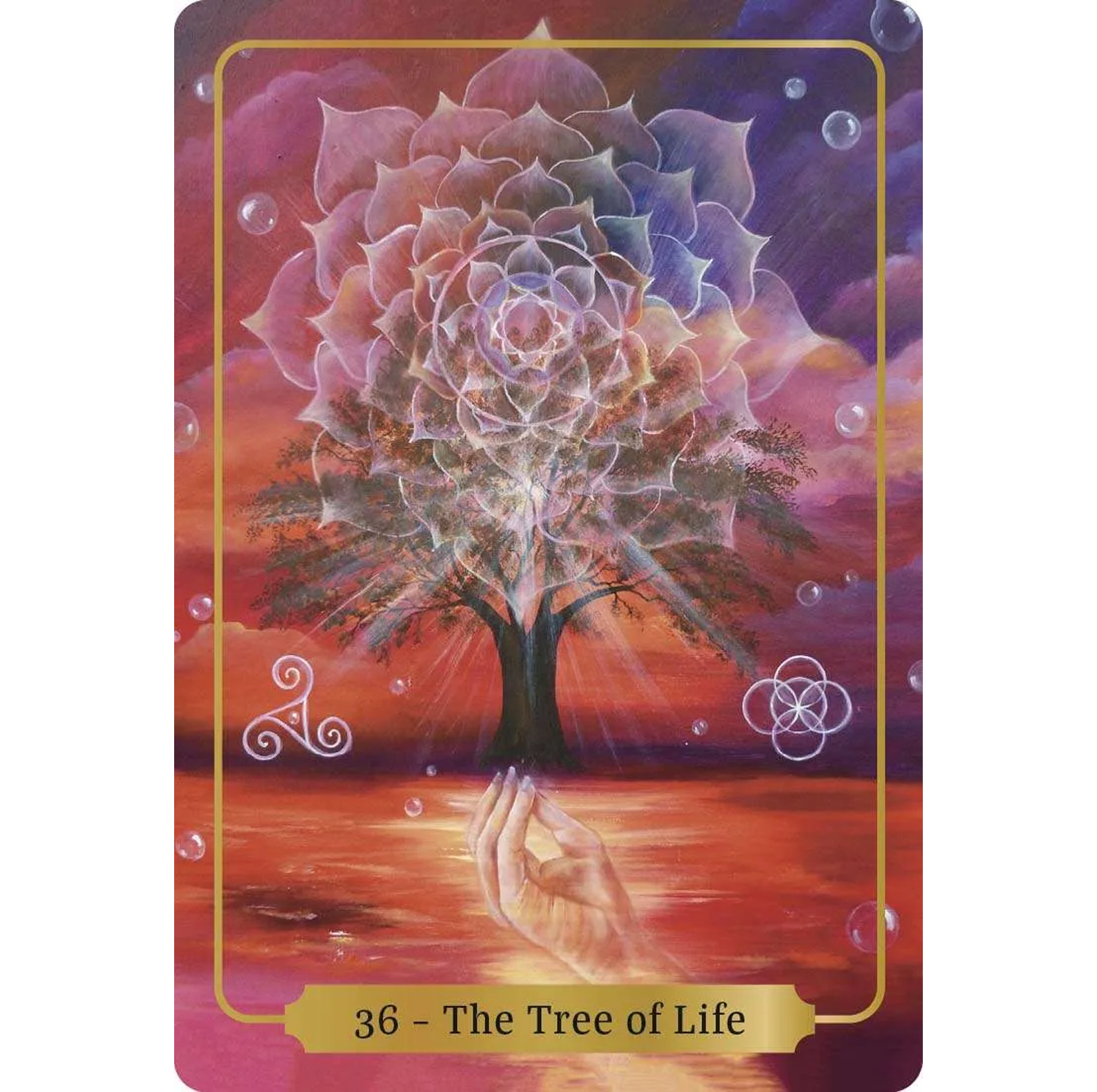 Sacred Blessings Oracle kortos Animal Dreaming