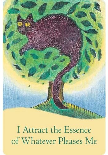 The Law Of Attraction kortos Hay House