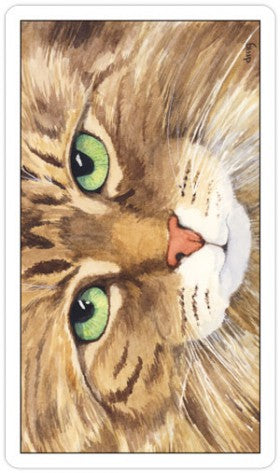Cats Eye Taro kortos US Games Systems