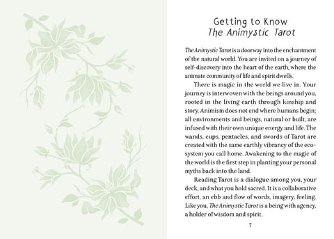 the Animystic Tarot kortos Schiffer Publishing
