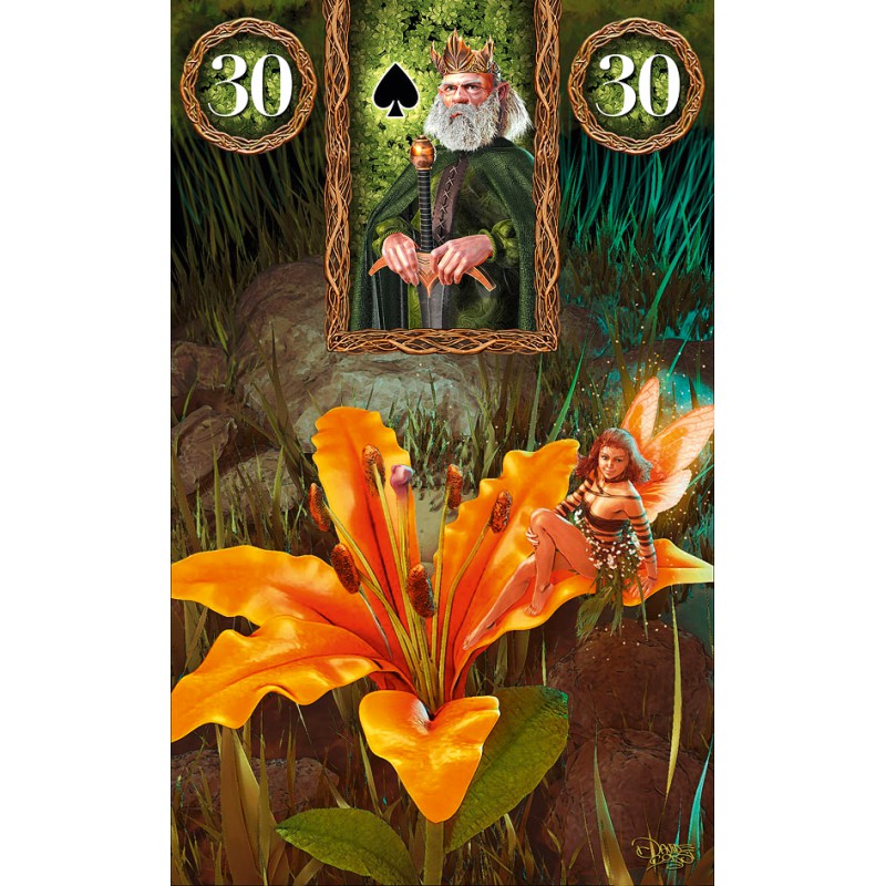 Fairy Lenormand Oracle Kortos Lo Scarabeo