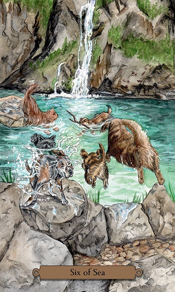 Magical Dogs Tarot Kortos Llewellyn