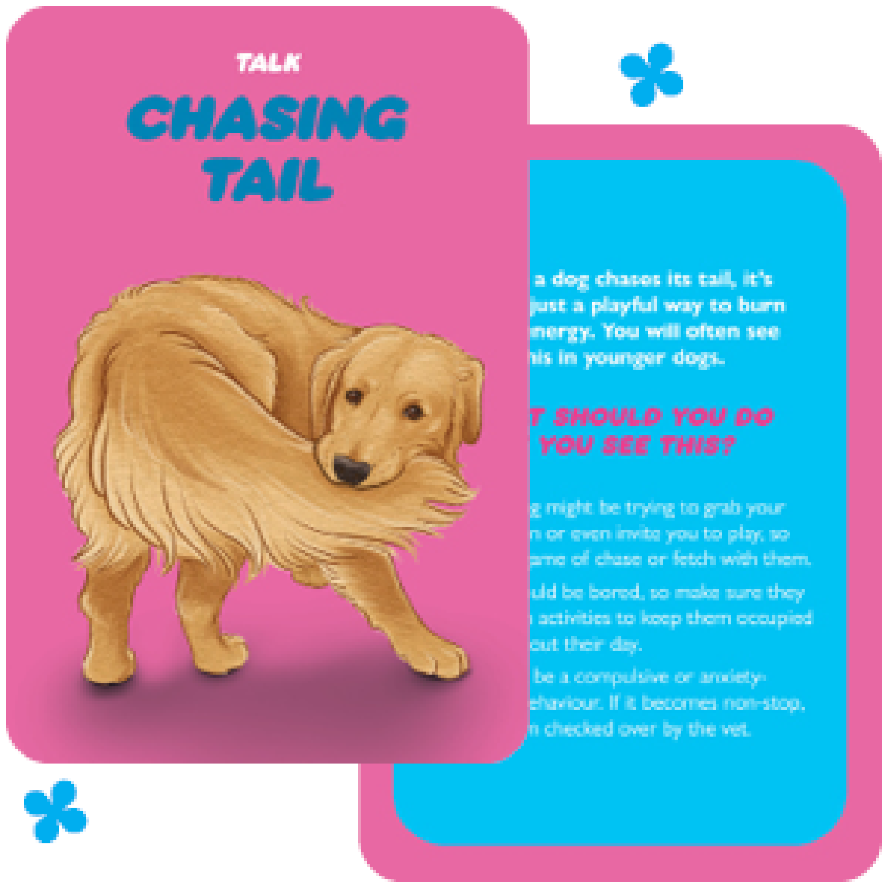 Dog Speak kortos Rockpool Publishing