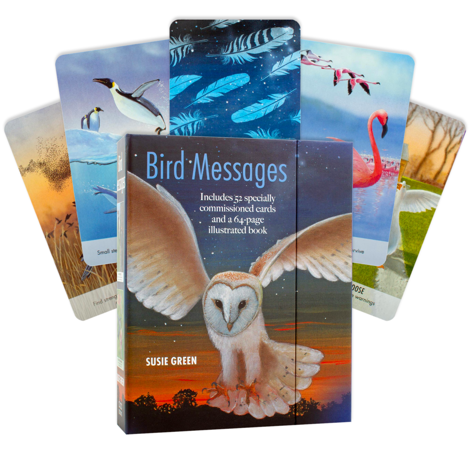 Bird Messages kortos Cico Books