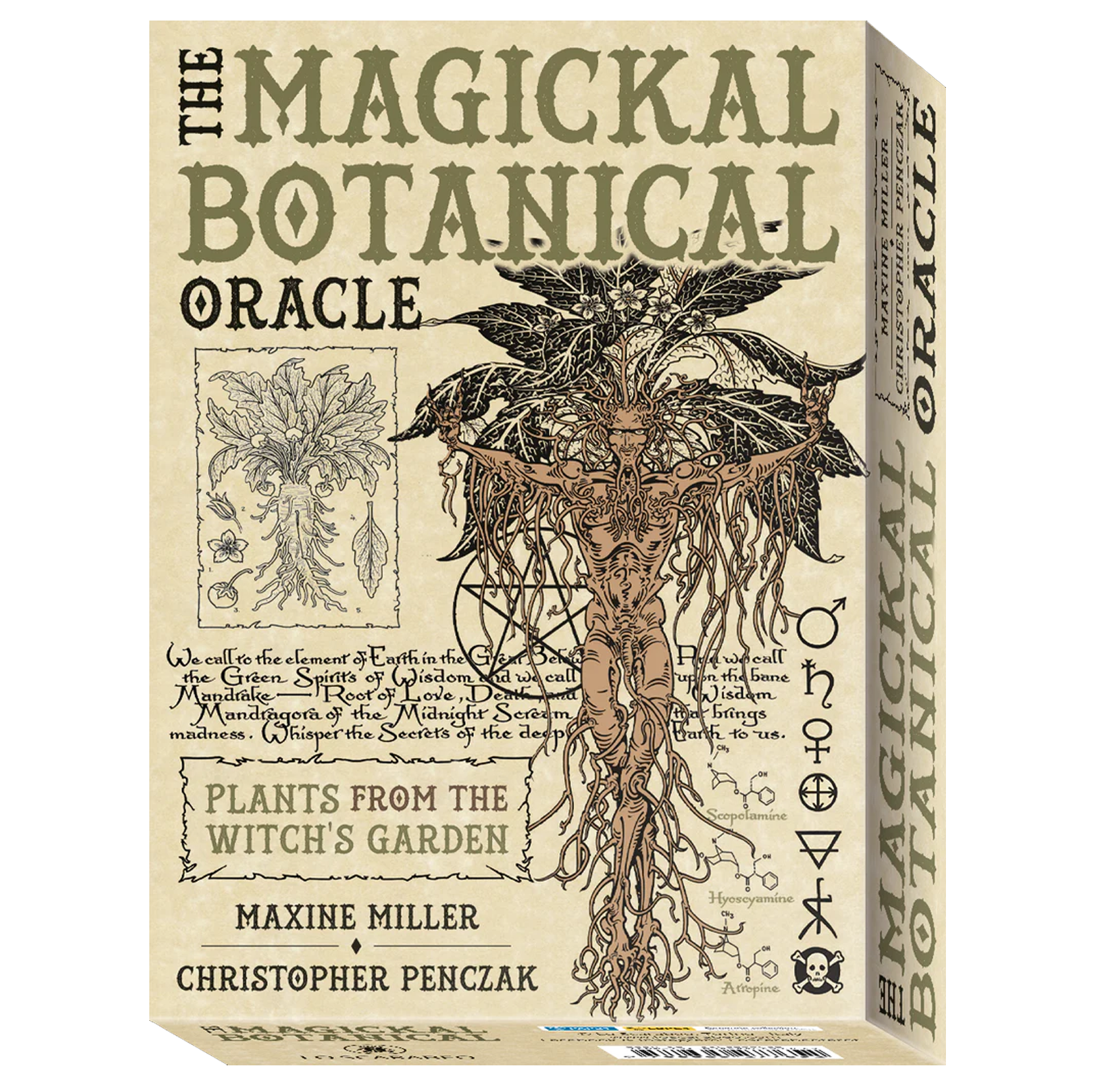 THE MAGICKAL BOTANICAL ORACLE: augalų išmintis iš raganos sodo – orakulo kortos + knyga