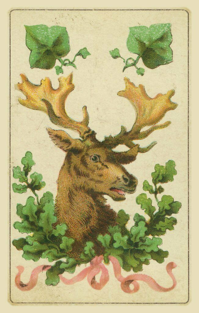 Folk Cards of Destiny Kortos Lo Scarabeo