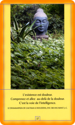 Osho Decouvrez Bouddha French Edition kortos AGM