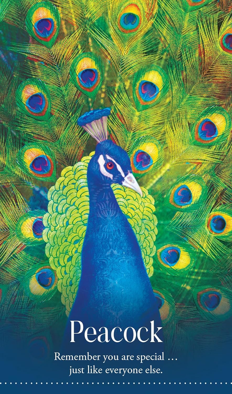 Wild Dreams Animal Oracle Kortos Blue Angel