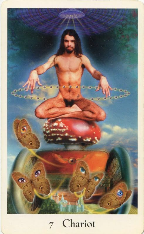 The Cosmic Tribe Taro kortos Destiny Books