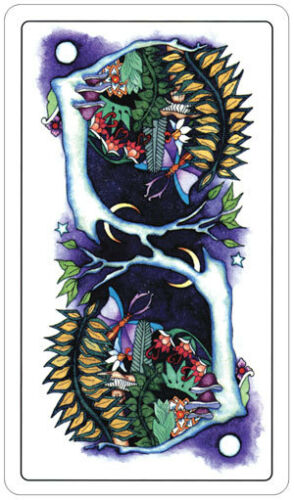 Tarot Of A Moon Garden kortos US Games Systems