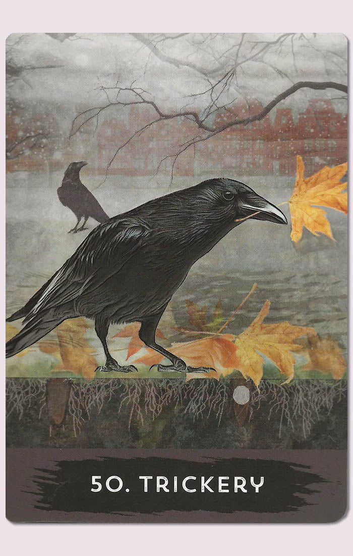 Urban Crow Oracle kortos Hay House