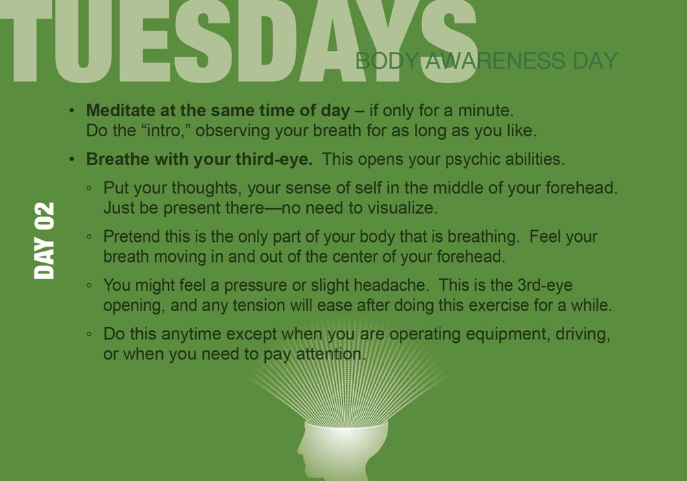 Build Your Psychic Skills The 90 Day Plan kortos Schiffer Publishing