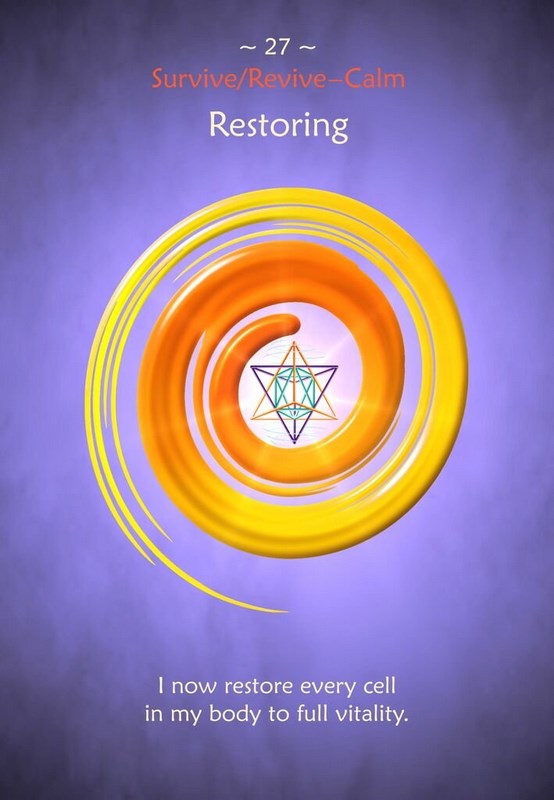 From Survive to Thrive Empowerment kortos