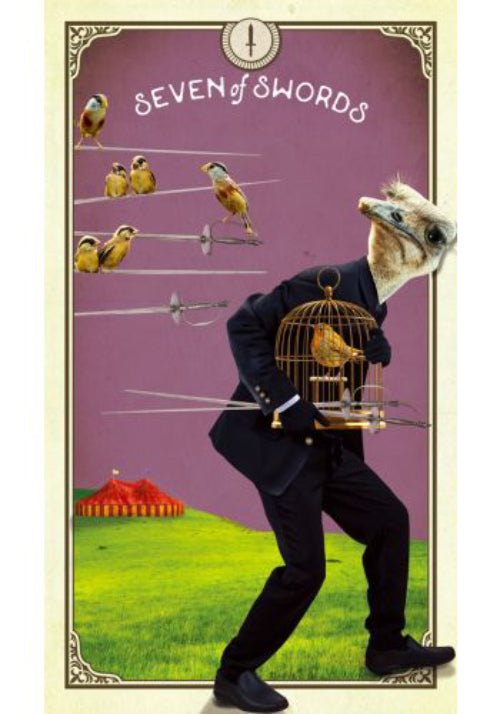 The Tarot of Curious Creatures kortos Hay House