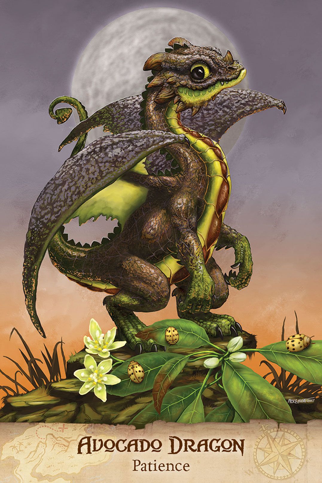 Field Guide To garden Dragons Taro kortos US Games Systems