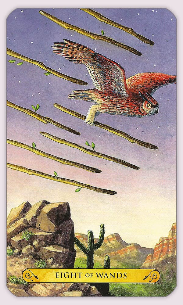 TAROT OF THE OWLS: išminties ir intuicijos kupinos pelėdų taro kortos