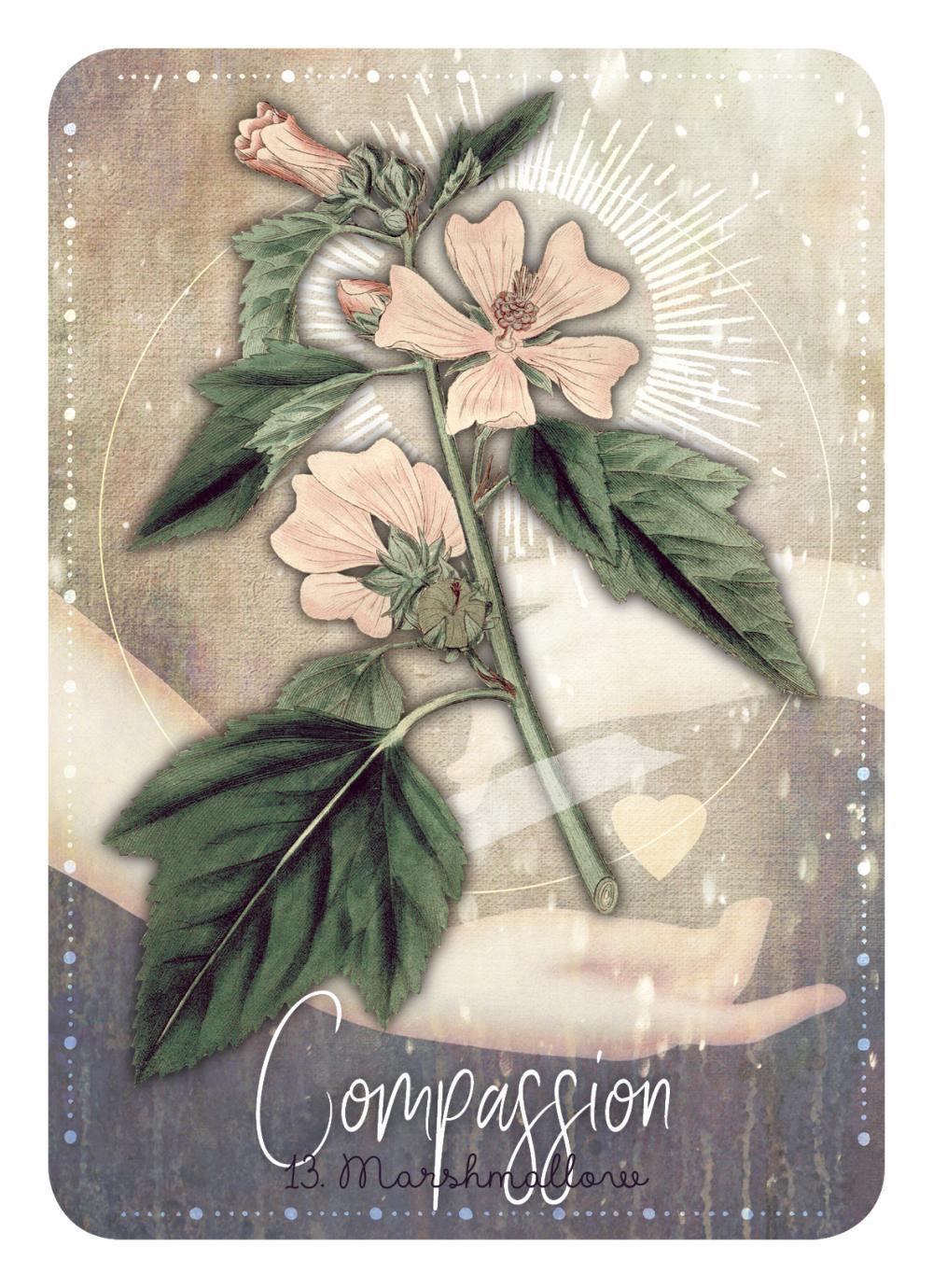 Magickal Herb Oracle kortos Rockpool