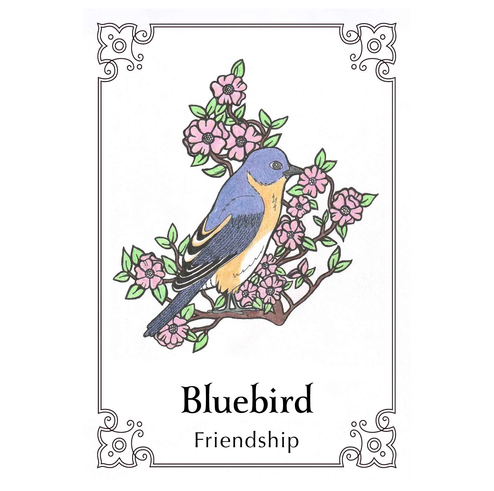 Sacred Bird Oracle kortos Animal Dreaming
