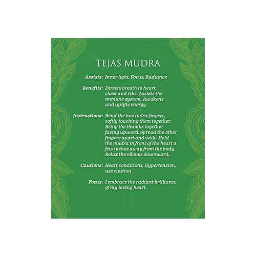 Mudras for Awakening the Energy Body meditacinės kortos ir knyga US Games Systems