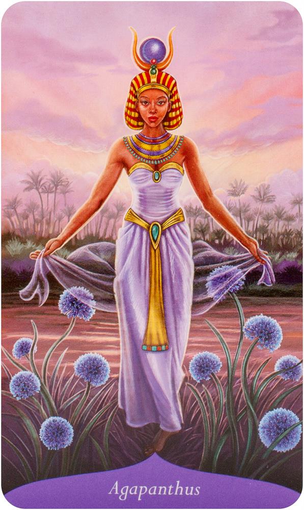 Magic Of Flowers Oracle Kortos Llewellyn