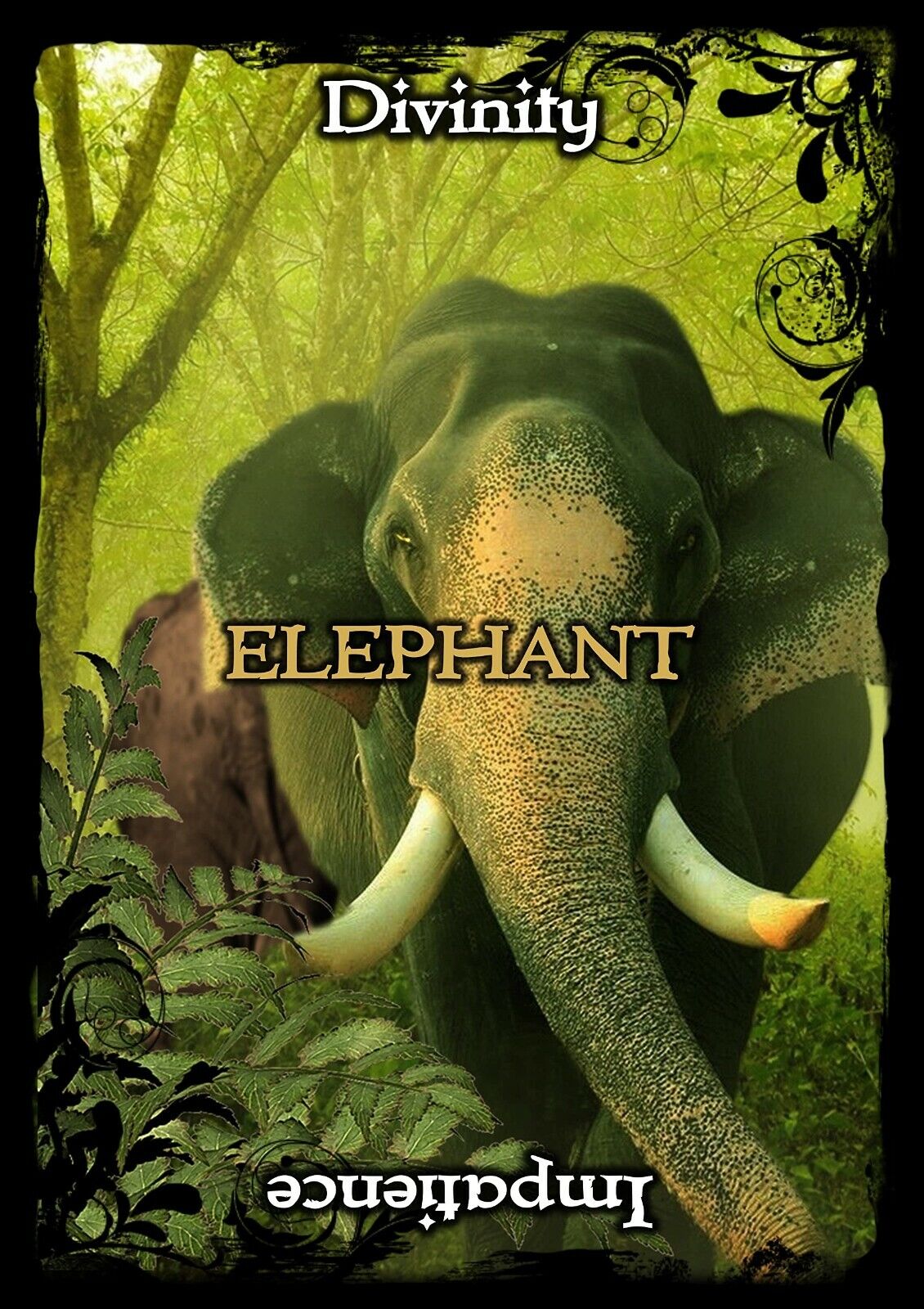 Animal Guidance And Aspects Oracle kortos Solarus