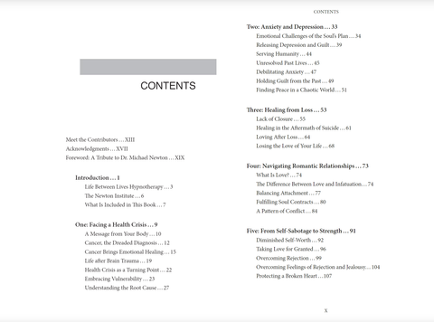 Wisdom of Souls Knyga Llewellyn