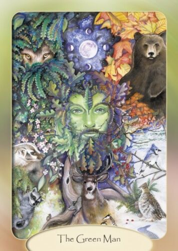 The Stone Circle Oracle kortos Schiffer Publishing