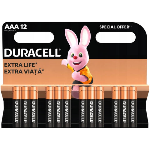 Duracell AAA  Basic MN2400 baterijos 12 vnt.